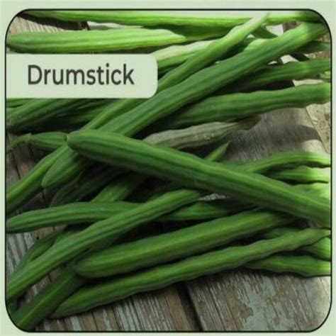 Floury Texture Eco Friendly Natural Healthy Green Fresh Drumsticks At