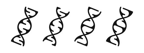 Dna Icons Set Dna Symbols Dna Helix Deoxyribonucleic Acid 44311679 Vector Art At Vecteezy