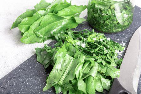 20 самых вкусных рецептов с щавелем