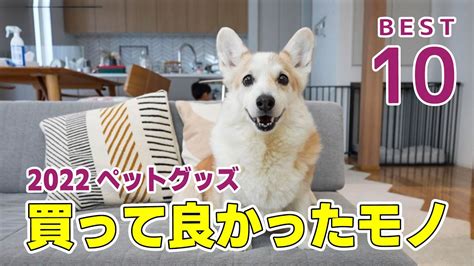 【ベストバイ】2022年本当に買って良かったペットグッズ 動物（犬・猫 他色々）【まとめ動画】