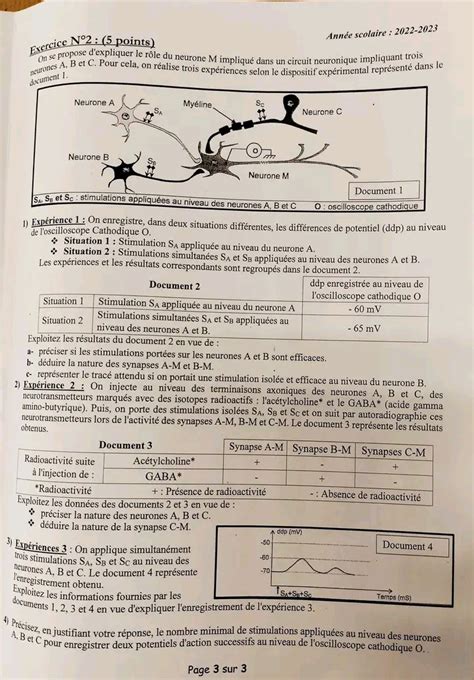 Bac Sc expérimentales Sciences SVT Bac Blanc 2023 SVT