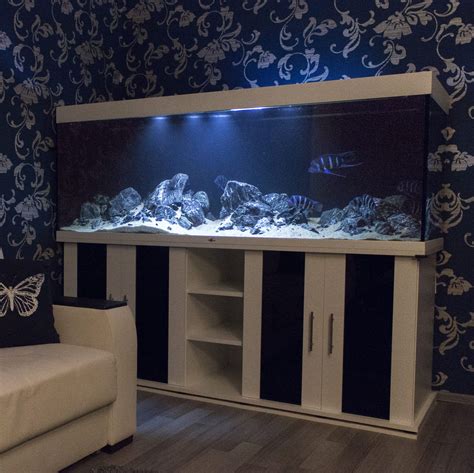 Биотопный аквариум. Работа студии Аквапространства. Создание ...