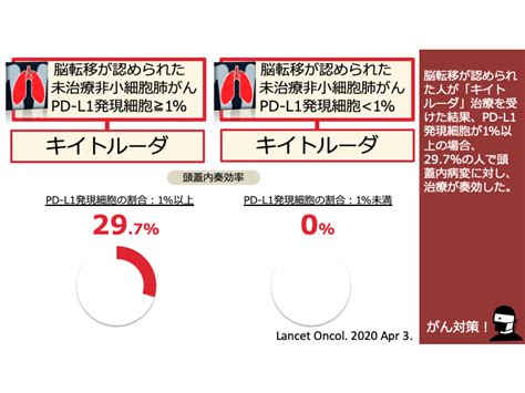 日本がん対策図鑑 【Ⅲ期肺がん（ps 2）：化学放射線療法】「エトポシド＋シスプラチン」vs「パクリタキセル＋カルボプラチン」