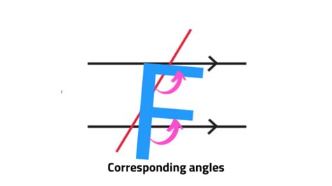 What Are Co-Interior Angles | Twinkl Teaching Wiki - Twinkl