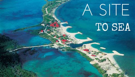 Any guess as to where it might be?