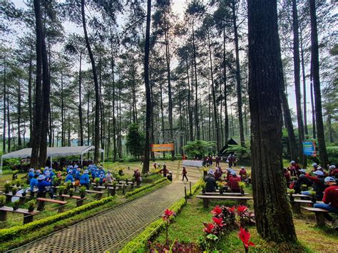 Orchid Forest Cikole Harga Tiket Masuk Lokasi Dan Kegiatan Wisata