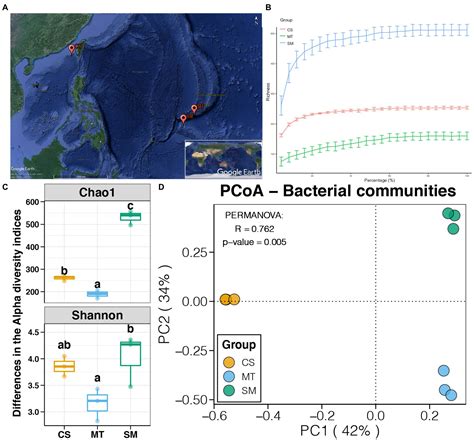 Frontiers Microbial Diversity And Biogeochemical Cycling Potential In