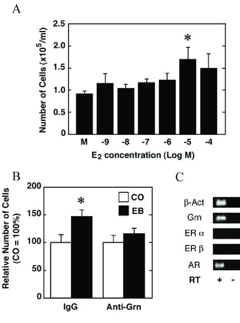 Effects Of Estradiol On Neural Progenitor Cell Growth In Neurospheres Download Scientific