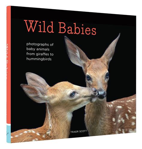 Wild Babies | Chronicle Books