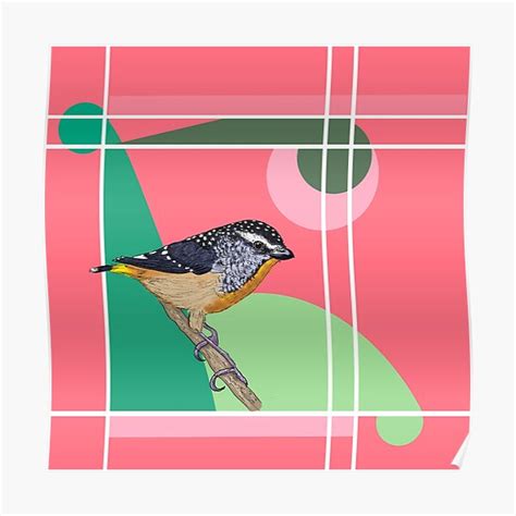 Spotted Pardalote Poster For Sale By Louendicott Redbubble