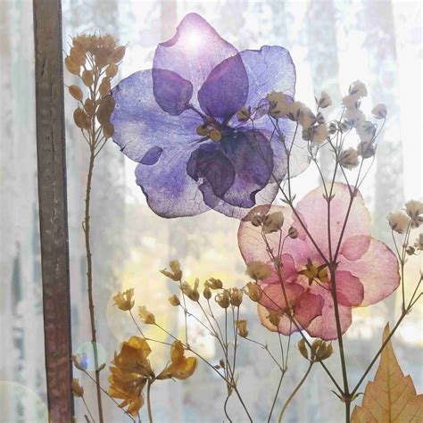 How To Make Beautiful Pressed Flower Art A Beginners Guide Feltmagnet