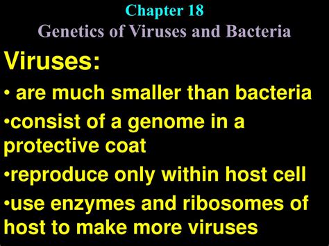 Ppt Chapter 18 Genetics Of Viruses And Bacteria Powerpoint Presentation Id5741065