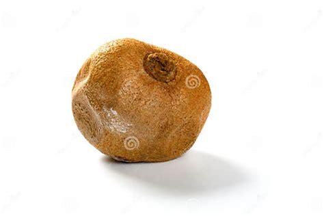 Moldy Kiwi Fruit On White Background Stock Photo Image Of Uneatable