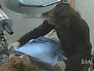 Naked Olga Anthony In The Freakmaker