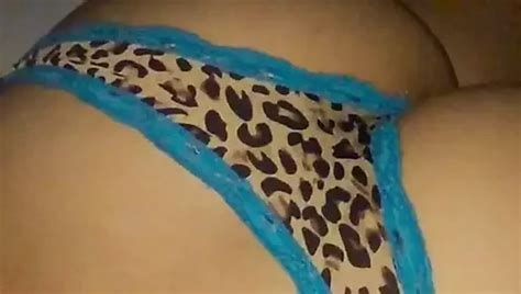 Free Lick My Pussy Porn Videos XHamster