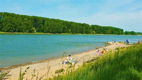 Enchanting Rhein Stroll Serene Pathways Charming Communities