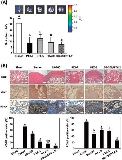 Silibinin And Paclitaxel Inhibit Lung Metastasis Of 4t1 Cells In