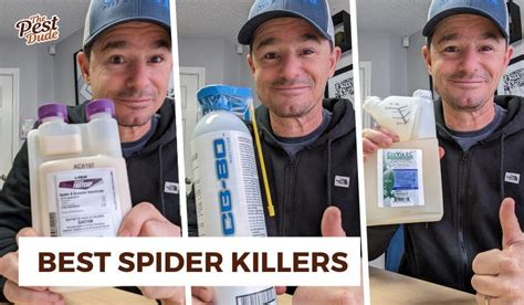 Top 6 Best Spider Killers Of 2024 Tested And Reviewed Pest Dude