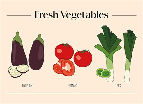 Premium Vector Set Of Fresh Vegetables