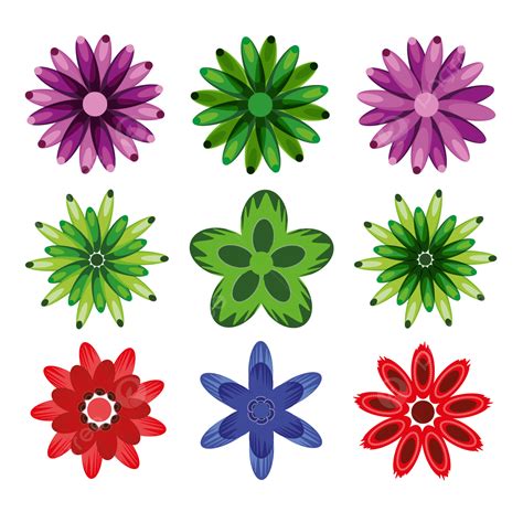 Natural Flowers Vector Set Drawing Flower Vector Png And Vector With