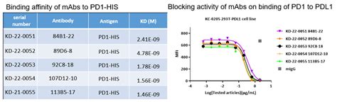 Bispecific Antibody Platform Kyinno Bio