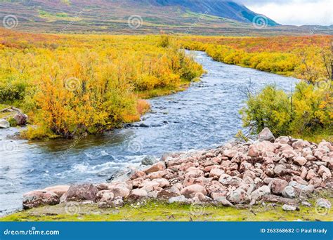 Autumn Creek Along the Denali Highway in Alaska Stock Photo - Image of ...