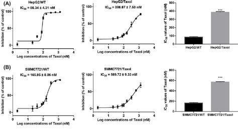 Figure 1 From LncRNA HOTAIR Contributes Taxol Resistance Of