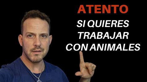 Cómo puedo trabajar en un zoológico YouTube