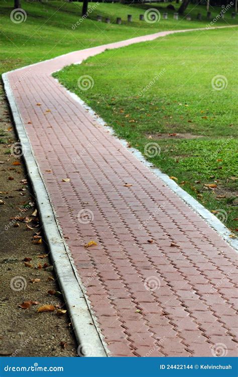 Jogging Path Stock Photo Image Of Road Garden Pavement 24422144