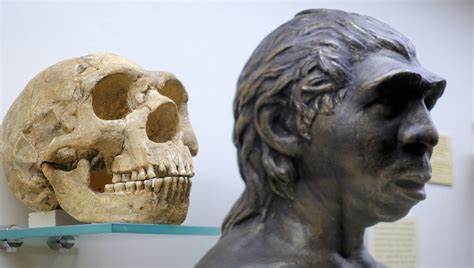 Modern Humans Carry Neanderthal And Denisovan DNA That Shapes Health