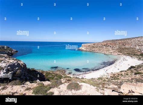 Lampedusa Insel Sizilien Kaninchen Und Hasen Insel Lampedusa