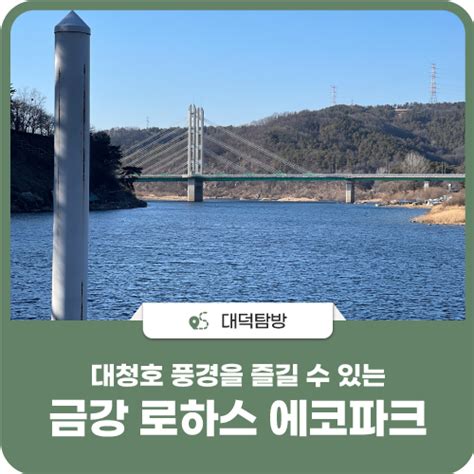 대전 대덕구 드라이브 명소 대청호 풍경을 즐길 수 있는 금강 로하스 에코파크 네이버 블로그