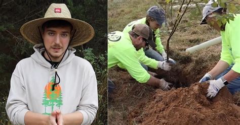 Youtuber Will Plant Lakh Trees In India Raised Rs Crore To Plant