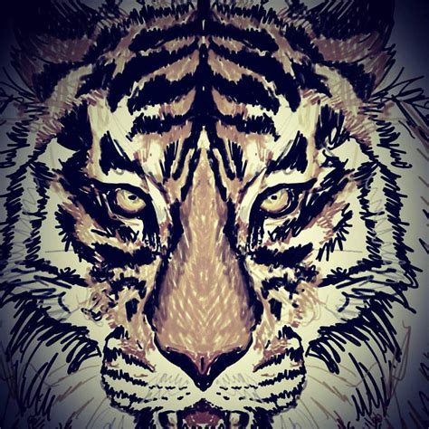 Tiger head sketch by ElenaZambelli on DeviantArt