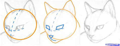 How To Draw A Cat Head, Draw A Realistic Cat By Finalprodigy ganzes ...