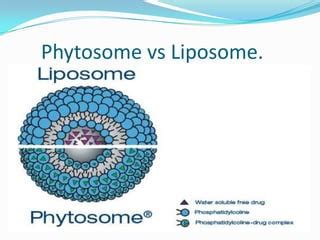 Phytosome A Novel Drug Delivery System Based Herbal Formulation Ppt