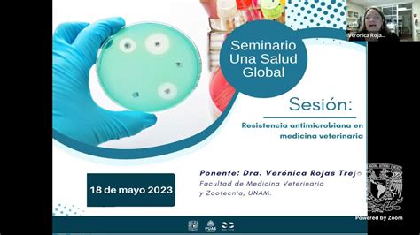 Resistencia Antimicrobiana En Medicina Veterinaria Youtube