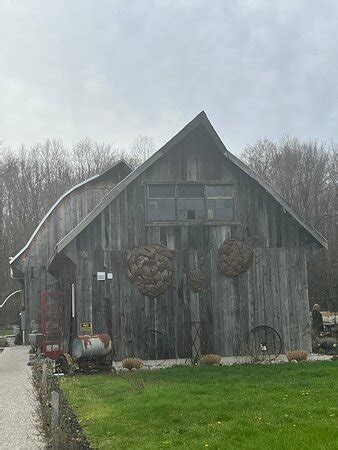 Ride The Bine Port Dover All You Need To Know Before You Go