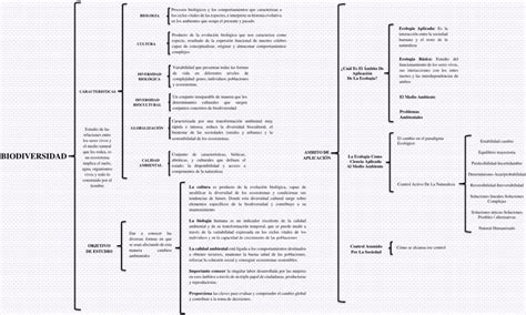 Sintético 96 Imagen De Fondo Cuadro Sinoptico De La Sexualidad Y Sus Caracteristicas El último