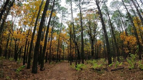 Mcgee Creek State Park Is A Gem Full Of Wildlife And Water Activities