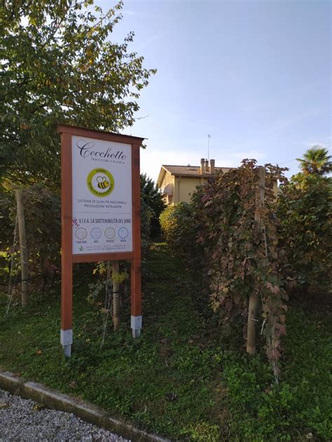 Vino sostenibilità appuntamento con l azienda Cecchetto Il Vingustaio