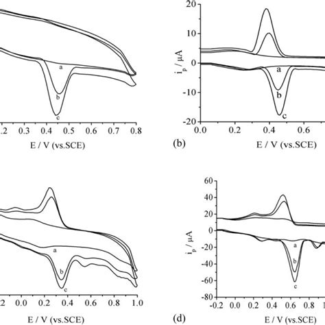 The Electrochemical Oxidation Mechanism Of Four Polyphenolic Compounds