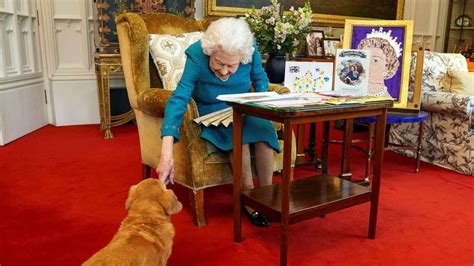 Queen Elizabeth Iis Beloved Corgis Await Her Coffin At Windsor Castle