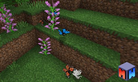 Butterfly Add On Bedrock Minecraft Mod