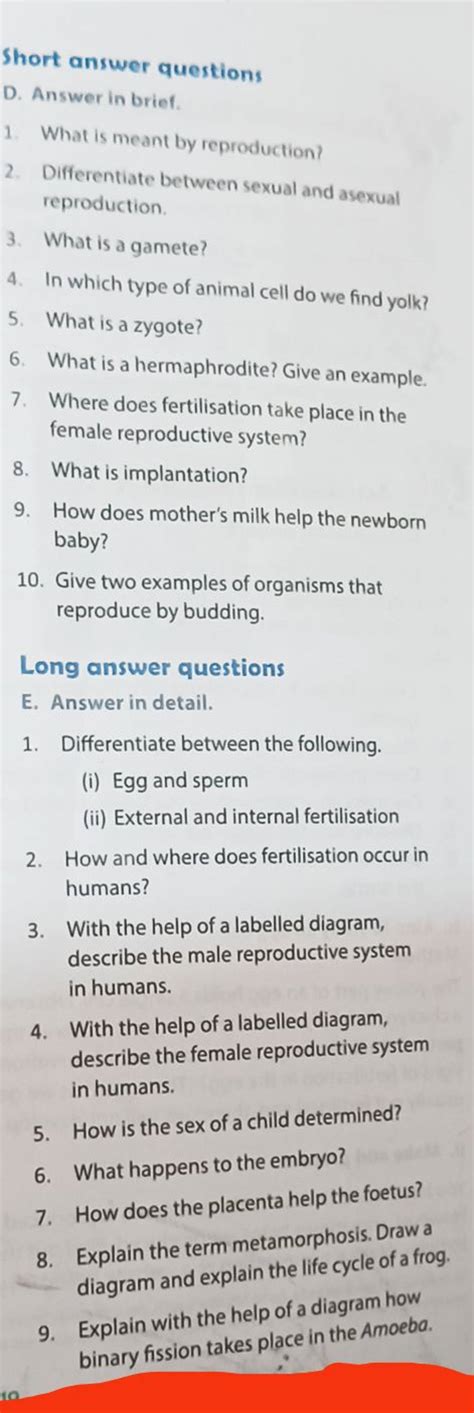 Egg And Sperm Ii External And Internal Fertilisation Filo