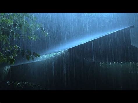 Barulho De Chuva E Trovoadas Na Floresta Para Dormir Profundamente