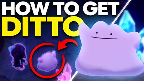 How To Get Ditto In Pokemon Brilliant Diamond And Shining Pearl Youtube