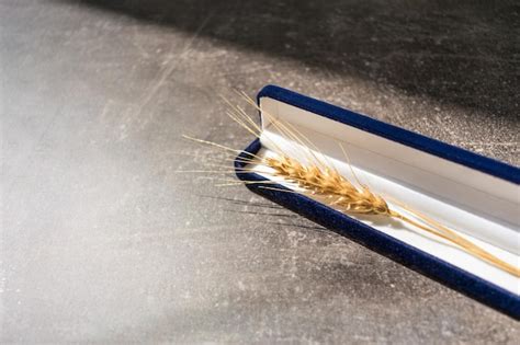 Premium Photo Gold Spikelet Of Wheat In Jewelry Box Close Up Gold