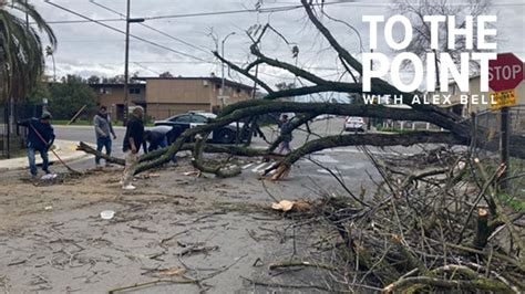 Northern California storm damage: Winds down trees, cause damage | abc10.com