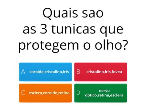 Jogo Sobre A Visao Quiz